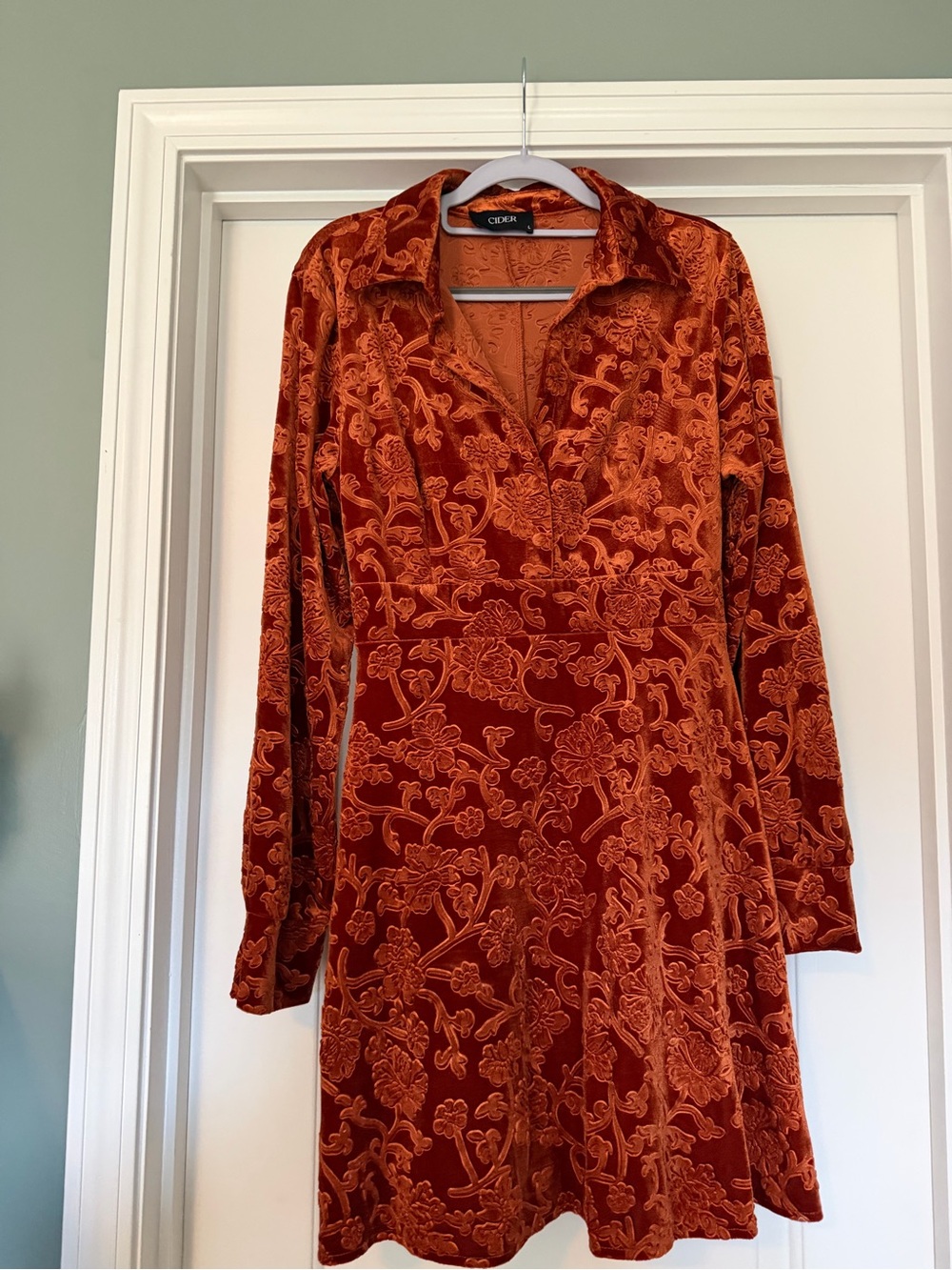 Cider Burnt Orange Velvet Floral A-Line Long Sleeve Dress